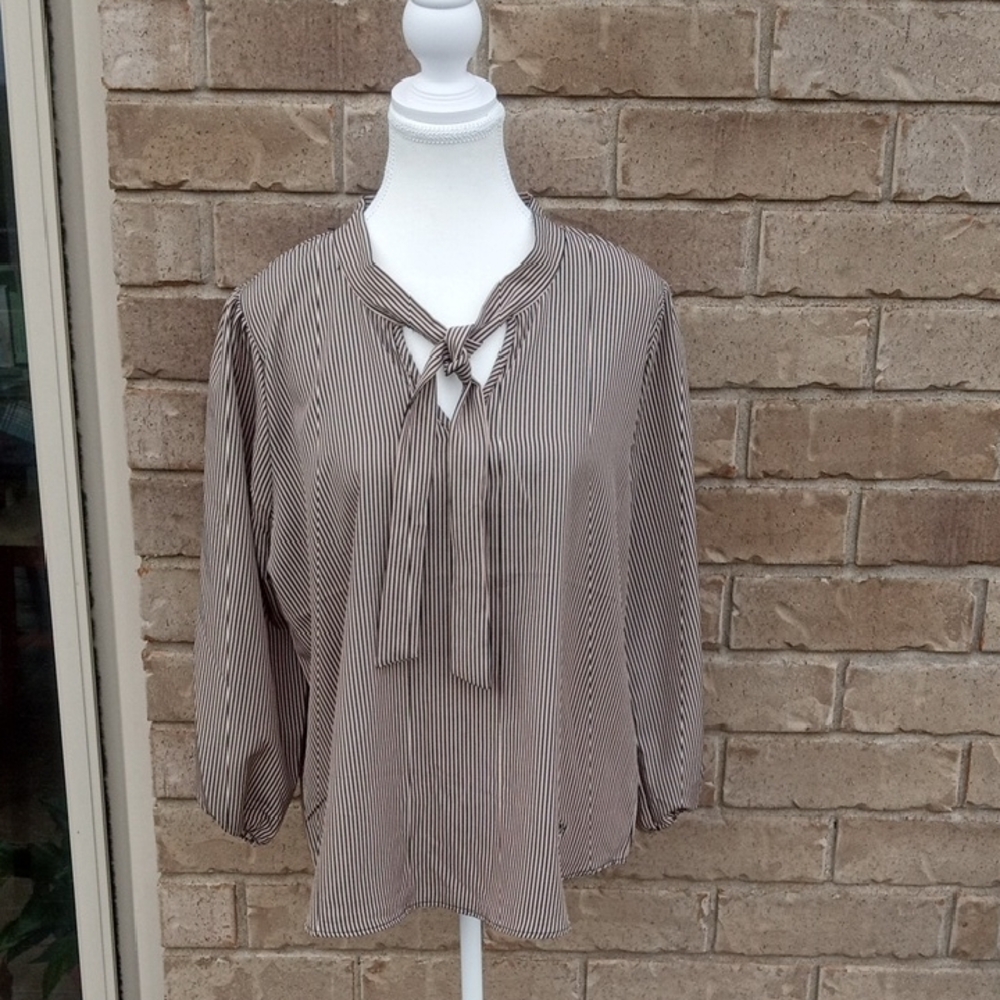 Adrienne Vittadini Beige Striped Blouse with Tie Neck
